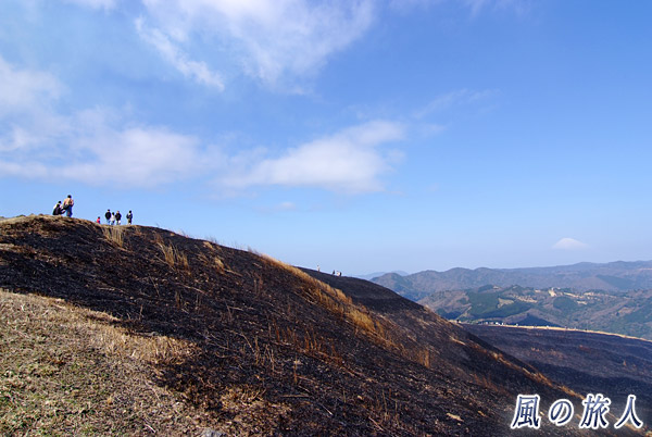 焼け野原の散歩　大室山山焼きの写真