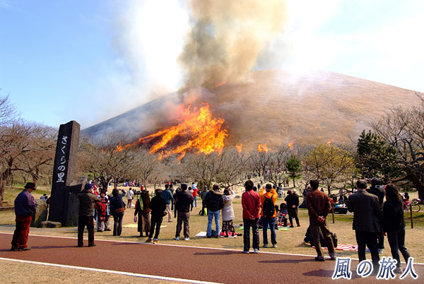 山が燃えていく　大室山山焼きの写真