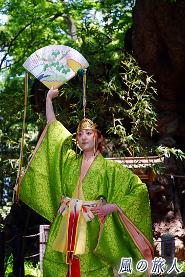大楠の舞　来宮神社大楠祭の写真