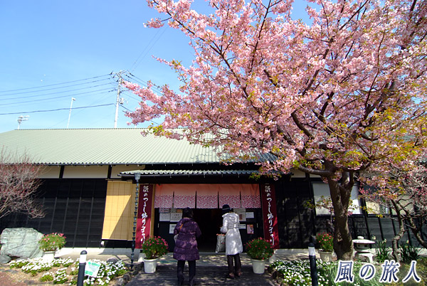 文化公園の雛の館　稲取温泉 雛のつるし飾りまつりの写真