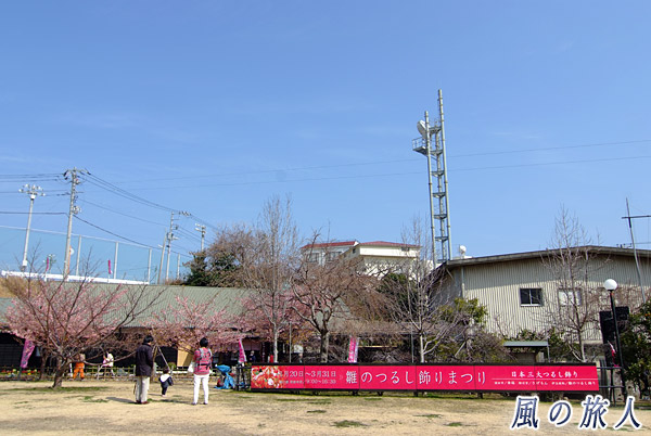 稲取文化公園　稲取温泉 雛のつるし飾りまつりの写真