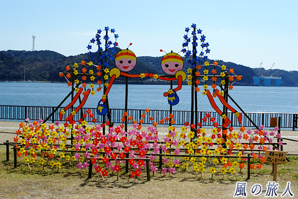 下田の海を背景に仲良く　風の花祭り（下田）の写真