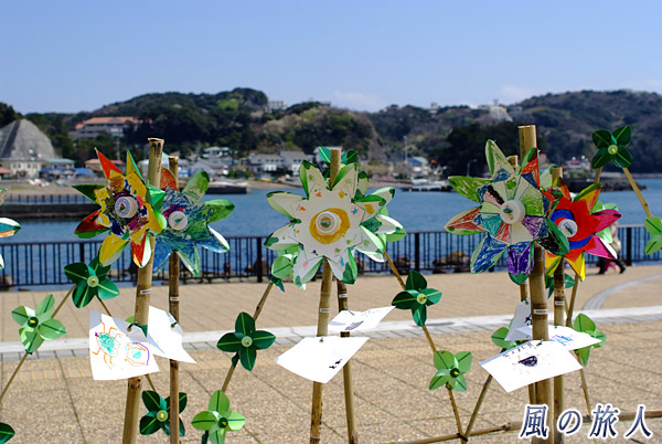 花の風車　風の花祭り（下田）の写真