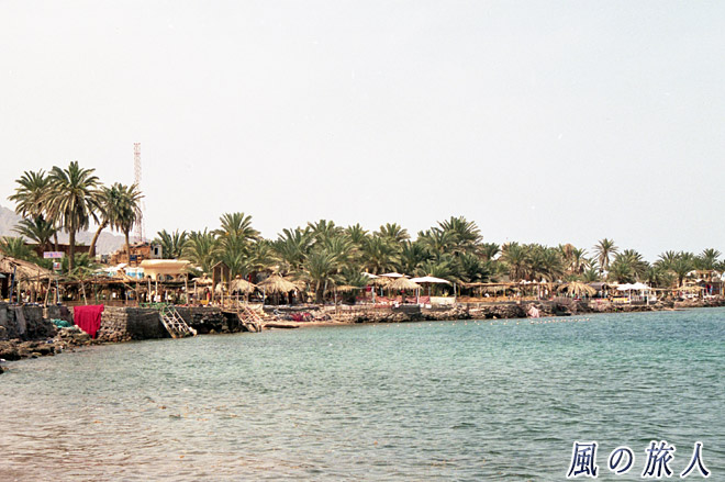 海岸沿いに並ぶ海の家　ダハブの写真