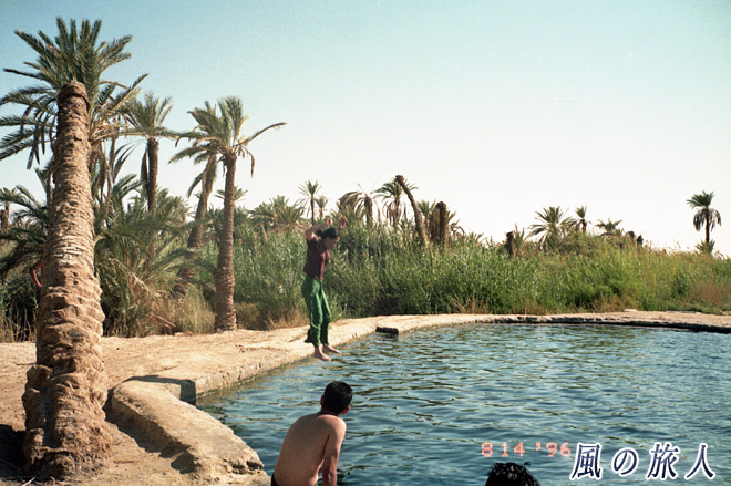 鉱泉での水遊び　サハラ砂漠ツアー（シワ～バハレイヤ）の写真　Sahara Desert Tour　Siwa to Bahariyya