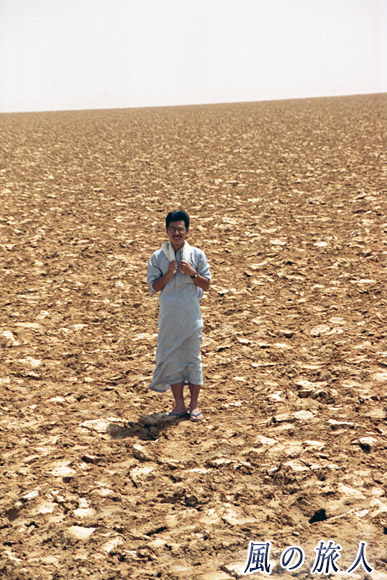 干上がった台地の中で　サハラ砂漠ツアー（シワ～バハレイヤ）の写真　Sahara Desert Tour　Siwa to Bahariyya