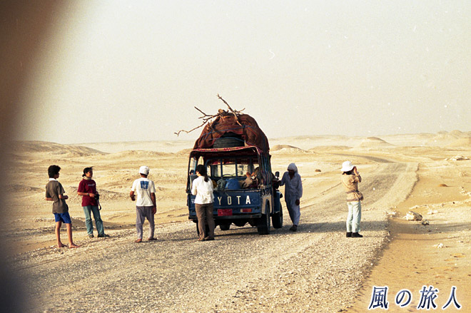 小休止の間　サハラ砂漠ツアー（シワ～バハレイヤ）の写真　Sahara Desert Tour　Siwa to Bahariyya