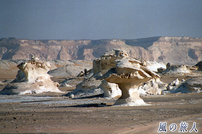 キノコ岩　サハラ砂漠ツアー（黒砂漠、白砂漠）の写真　Sahara Desert Tour (Black Desert and White Desert)