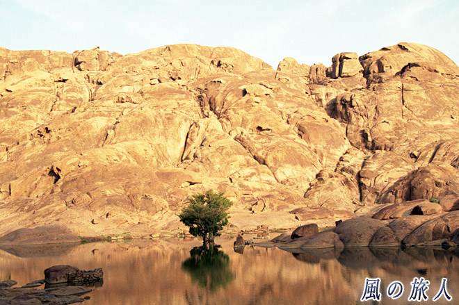 湖と木　シナイ山の写真　Mount Sinai