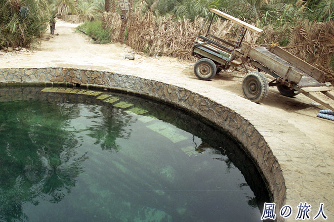 ファトナス島の井戸　シワ・オアシスの写真