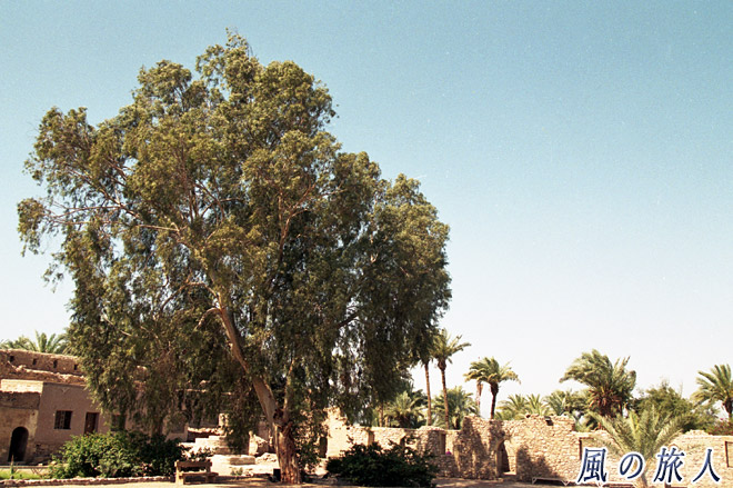 城塞の中　アカバ要塞の写真