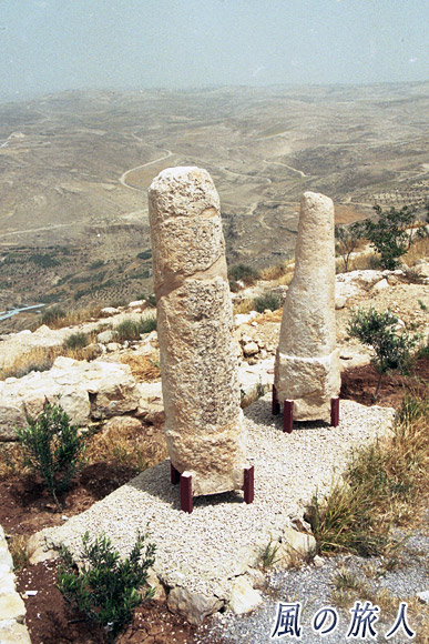 石柱とオリーブの苗　ネボ山の写真
