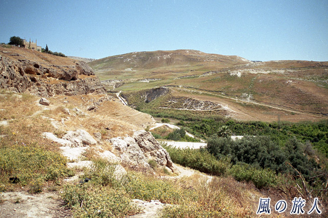 谷間の緑　ヨルダン渓谷の写真