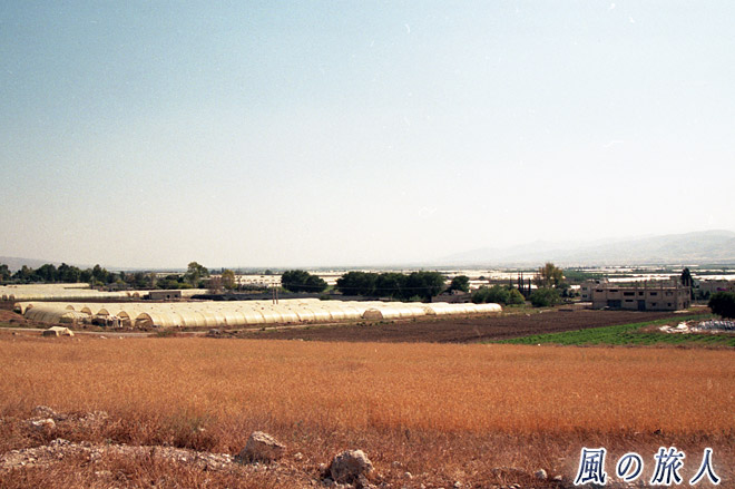 渓谷の畑　ヨルダン渓谷の写真