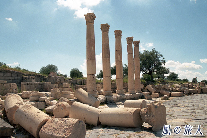 並ぶ柱と崩れたままの柱　ウム・カイス遺跡の写真