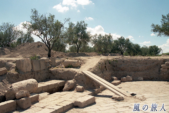 発掘中　ウム・カイス遺跡の写真