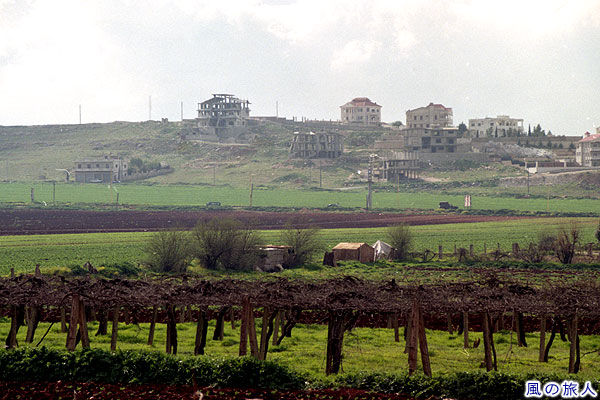 ブドウ畑　レバノンアンジャルの写真　scenery of Anjar