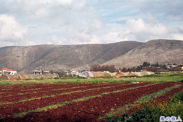 ベカー高原の畑　レバノンアンジャルの写真　scenery of Anjar