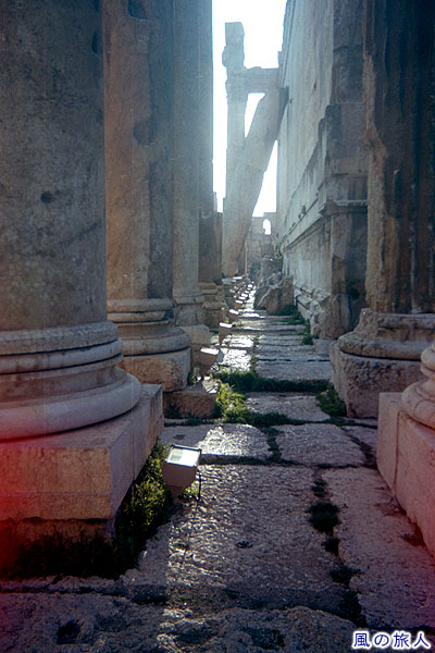 バッカス神殿の回廊の柱 バールベック遺跡の写真　Baalbek Roman Ruins