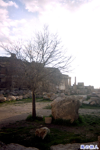 遺跡内で撮った写真 バールベック遺跡の写真　Baalbek Roman Ruins