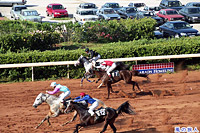 レバノン競馬のサムネイル