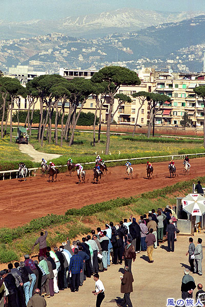 レバノン競馬の様子２　レバノン競馬の写真　Beirut Horse Racing