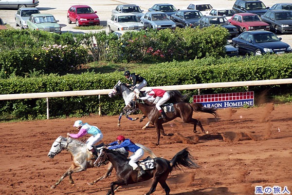 疾走する競走馬　レバノン競馬の写真　Beirut Horse Racing