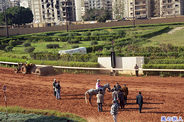 勝利の余韻と馬場整備　レバノン競馬の写真　Beirut Horse Racing