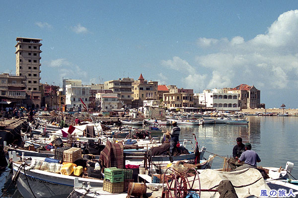 漁港と町並み　スールのの写真