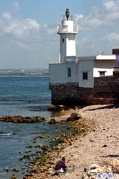 岬の先端にある灯台　スールの写真