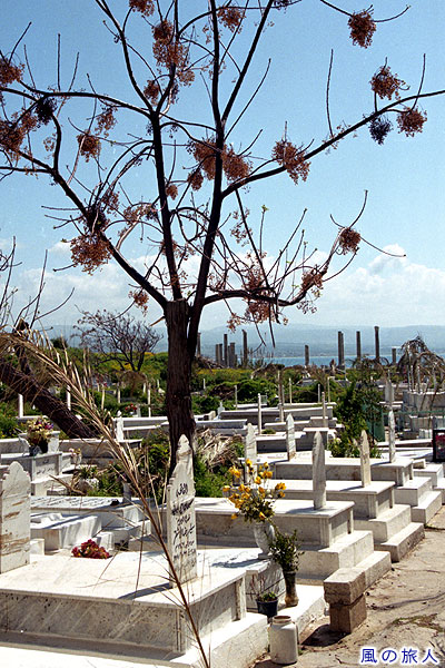 墓地　スールのティルス遺跡の写真