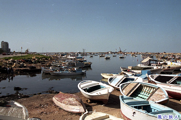 トリポリの湾内　トリポリの町並みの写真