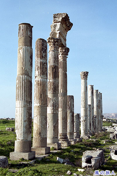 アパメア遺跡の柱