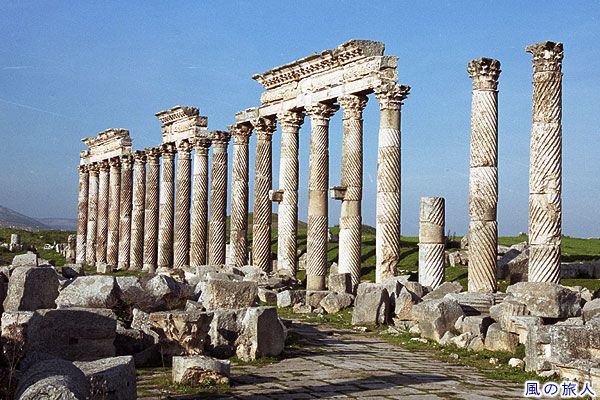 アパメア遺跡（アファミア）の柱　Apamea roman ruins (Afamya)
