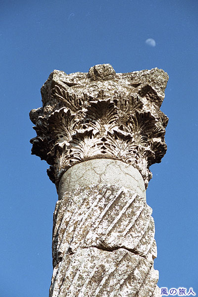 アパメア遺跡の柱３