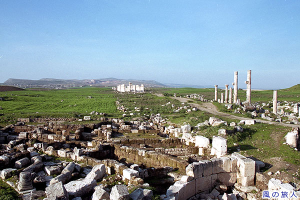 アパメア遺跡の様子２　Apamea roman ruins (Afamya)