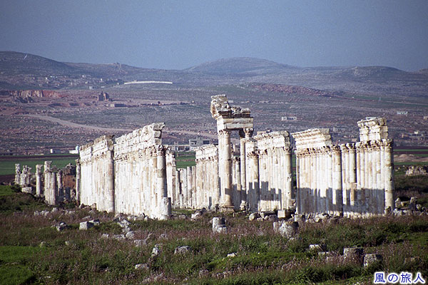 アパメア遺跡　北側の列柱通り　Apamea roman ruins (Afamya)