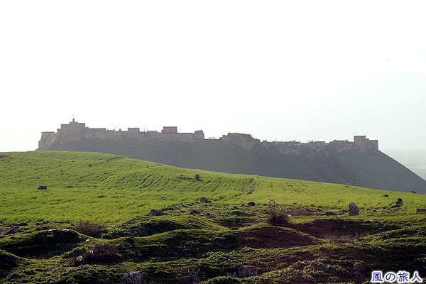 アパメア遺跡　遺跡から見るマディク城