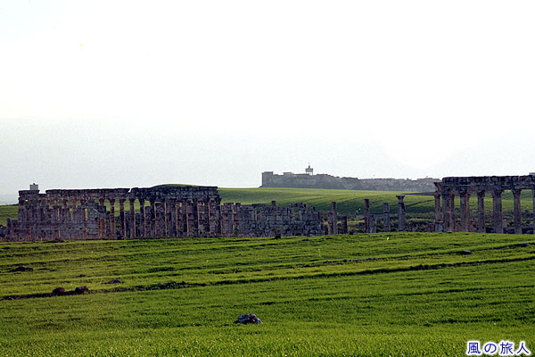 アパメア遺跡　遺跡から見るマディク城４