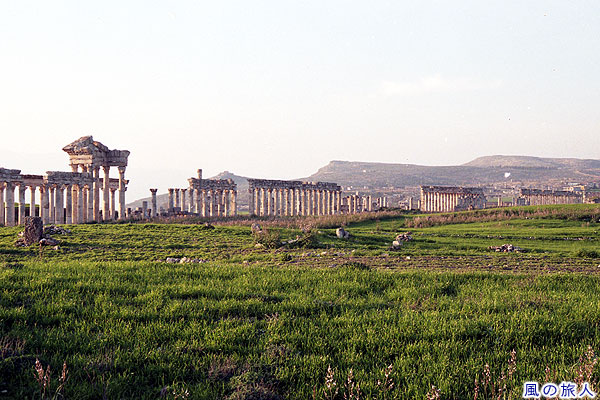 夕日の中のアパメア遺跡　Apamea roman ruins (Afamya)