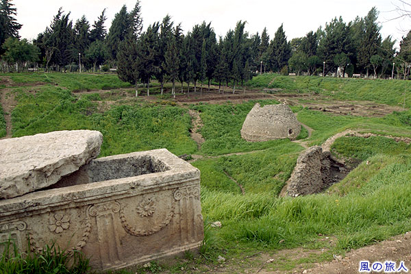 丘の上の遺跡　ハマ城砦跡　Hama Citadel