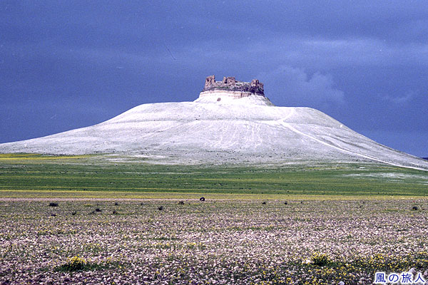 シュメミス城　Qala'at Ash-Shmemis