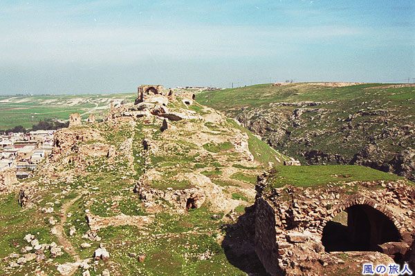 シャイザール城の丘３