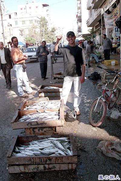 魚売りのお兄さん　ラタキアの町で