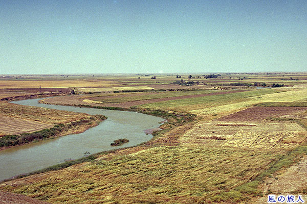 ハブール川と麦畑１