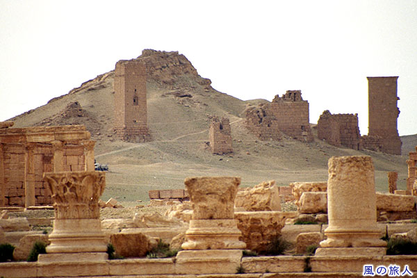遺跡と塔墓群　パルミラ遺跡　Site of Palmyra