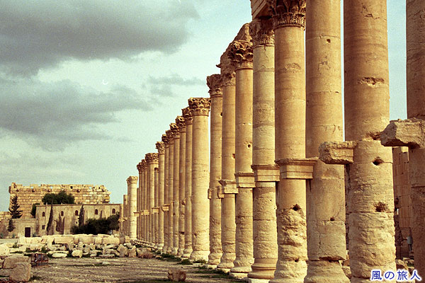 列柱通り　パルミラ遺跡　Site of Palmyra