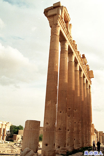ベル神殿横の柱　パルミラ遺跡　Site of Palmyra
