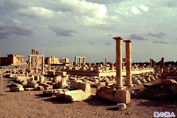 遺跡の様子　パルミラ遺跡　Site of Palmyra