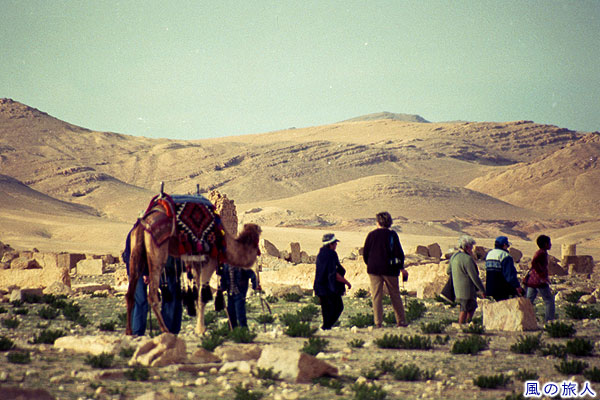 ラクダで遺跡見学　パルミラ遺跡　Site of Palmyra